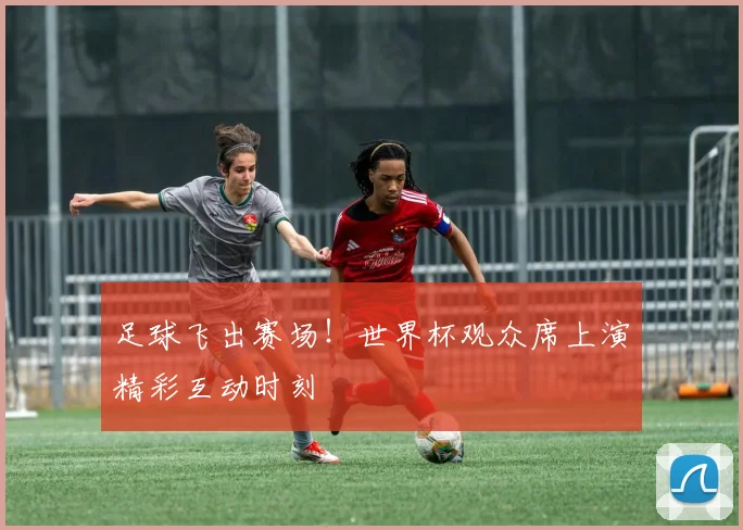 足球飞出赛场！世界杯观众席上演精彩互动时刻